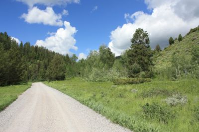 Near McCoy Creek Campground